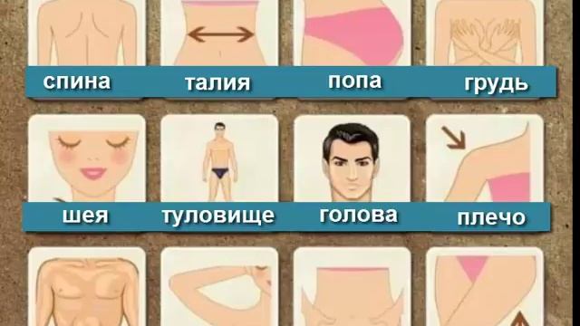 Ruštína pro začatečniky. Lidské tělo. смотреть онлайн