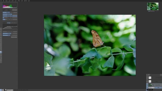 Pixeluvo Review | Photo Editor for Linux & Windows смотреть онлайн