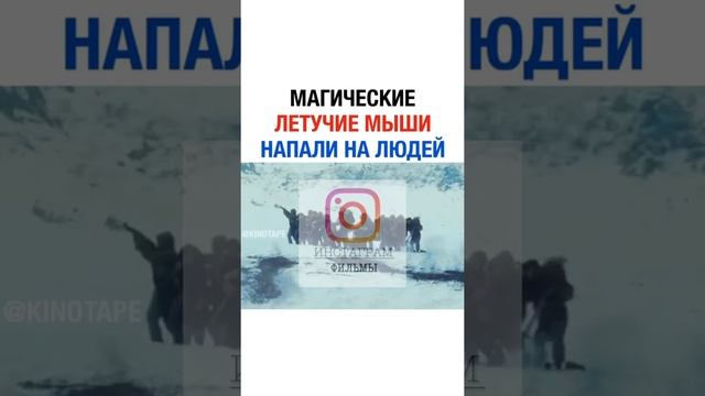 МАГИЧЕСКИЕ ЛЕТУЧИЕ МЫШИ НАПИЛИ НА ЛЮДЕЙ смотреть онлайн