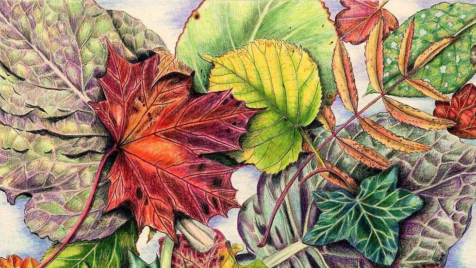 Мастер-класс. Линогравюра смотреть онлайн