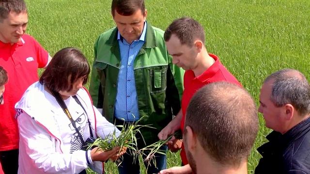 Фунгицид Аканто ® Плюс. Профессиональная защита сельскохозяйственных культур смотреть онлайн