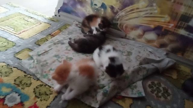 контрольная работа