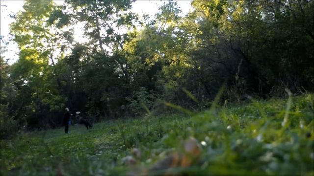 Groenendael Nick 1 year смотреть онлайн