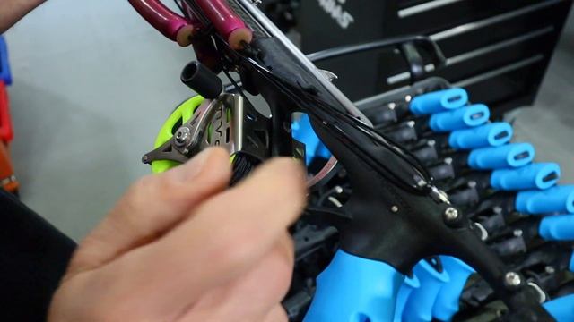 MVD ZESO CARBON - Angelo Russello - MVD Italy