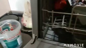 Посудомоечная машина MIDEA MINI.Как чистить и где чистить?