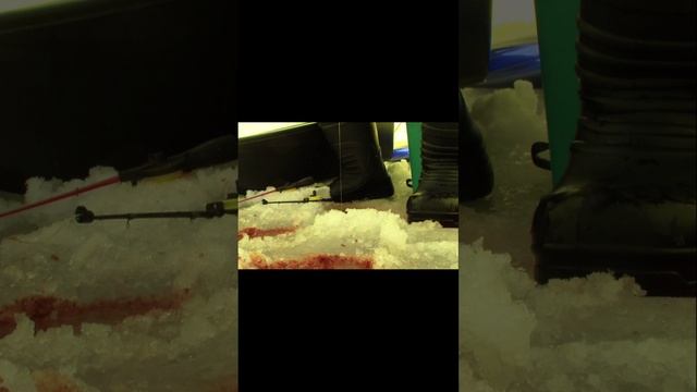 подлещик со льда смотреть онлайн