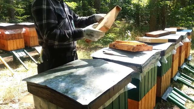 Работа на пасеке осенью. смотреть онлайн