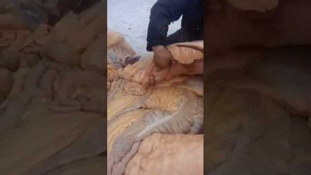 Ашутасты согым кирпич