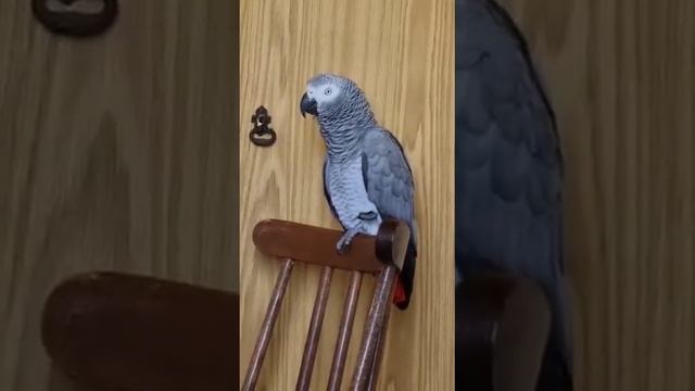 Таня уронила мячик... Атас! смотреть онлайн