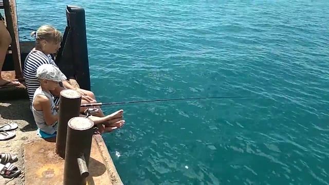 Ловля ставриды в Абхазии смотреть онлайн