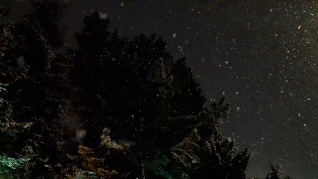 Ночной снегопад смотреть онлайн