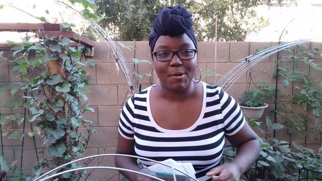 How To Get Free Seeds To Grow Your Own Garden - Avoiding Food Deserts, Building A Garden On A Budge смотреть онлайн