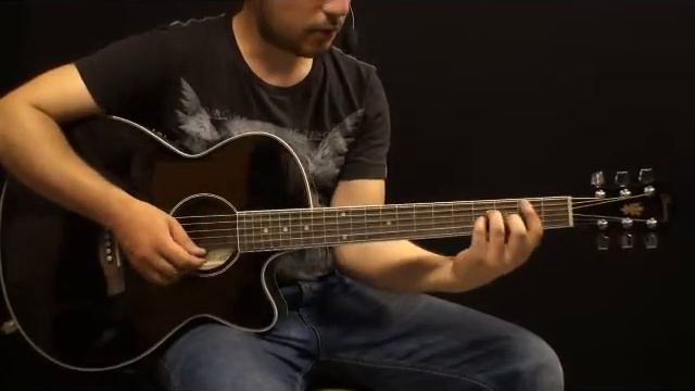 Ibanez AEG-8 E Tanıtımı смотреть онлайн