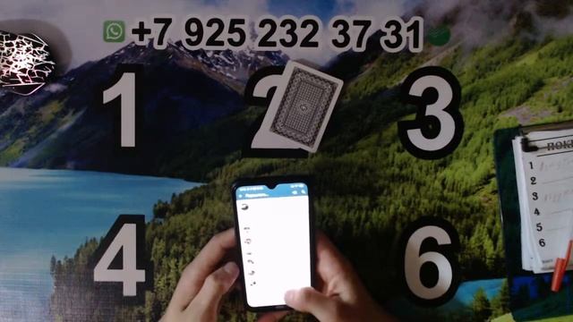 #Сека #Свара #Тринка Уйин Бошланди Хаммага Омад!!!!!