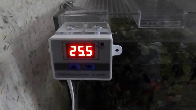 Настройка термостата XH-W3001 смотреть онлайн