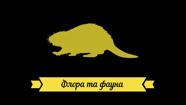 Природні зони України: мішані ліси. Проект "ГЕОГРАФІЯ" by Fastov Ivan смотреть онлайн