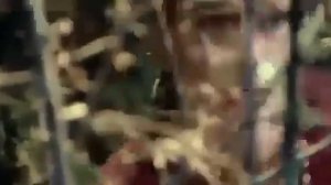 ИНДИЙСКИЕ ФИЛЬМЫ 2023 ИНДИЙСКИЙ БОЕВИКИ 2023