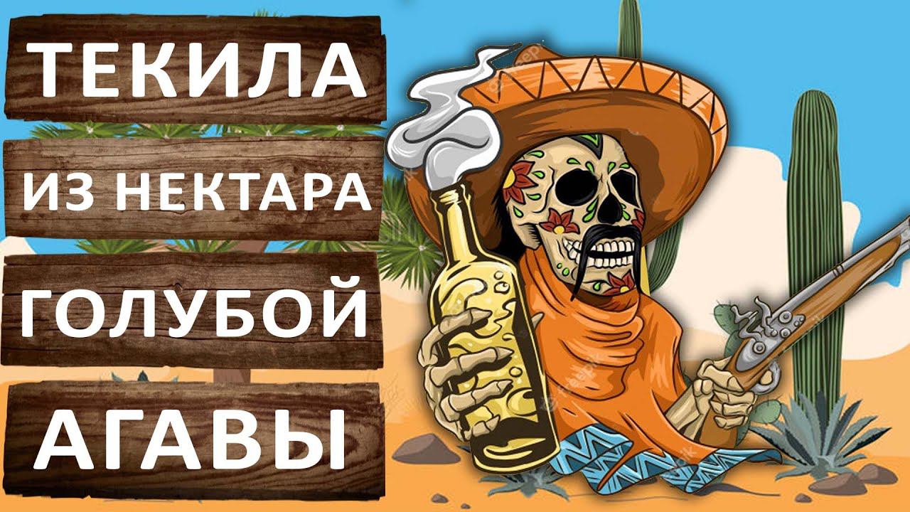 Текила из нектара голубой агавы. Самодельная Текила! Гоним на аппарате SPIRTMAN NEON. смотреть онлайн
