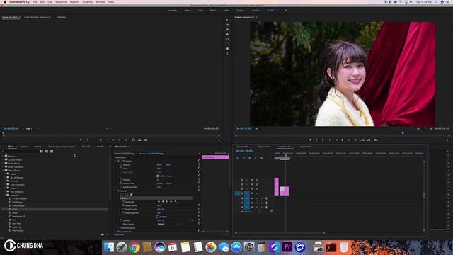 Circle Crop Adobe Premiere Pro Tutorial by Chung Dha смотреть онлайн