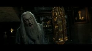 Гарри Поттер и Дары Смерти Часть 2 / Омут памяти (Часть 2)