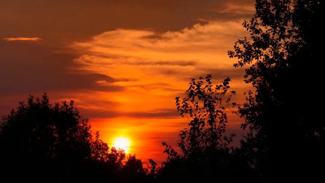 Необычайно  красивая мелодия скрипки.