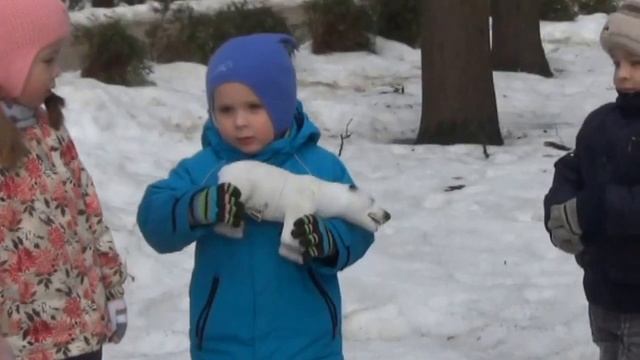 Полет к Северному полюсу смотреть онлайн