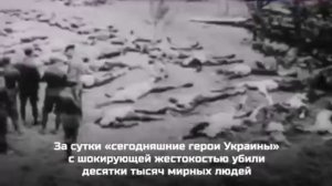 Волынская резня – кровавое «детище» украинского нацизма