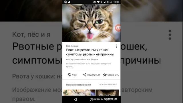 Как скачать картинки на телефон смотреть онлайн