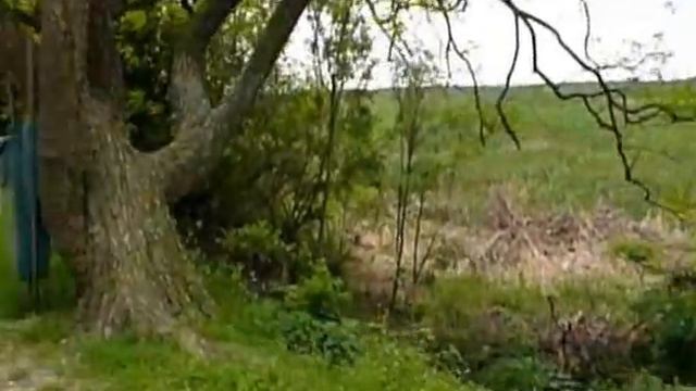 Прогулка с Семьей на Лоне Природы