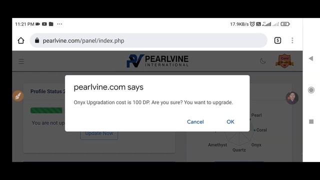 pearlvine Pearl to Quartz 4x fast auto pool race in republic day#pearlvine#pearlvineinternational смотреть онлайн