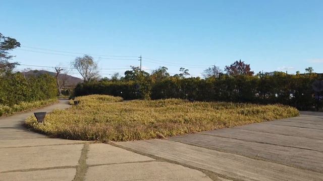 Unique bakery in Omihachiman city in Japan. Club Harie, La Collina. смотреть онлайн