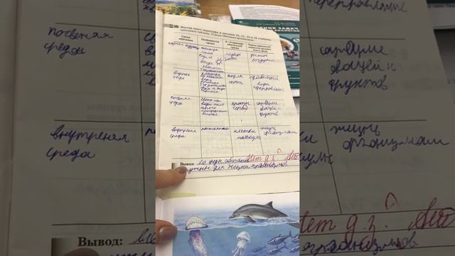 5 класс - Среды жизни. смотреть онлайн