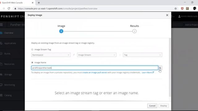 Deploying a #Panther/Web Docker Container in Red Hat OpenShift. смотреть онлайн