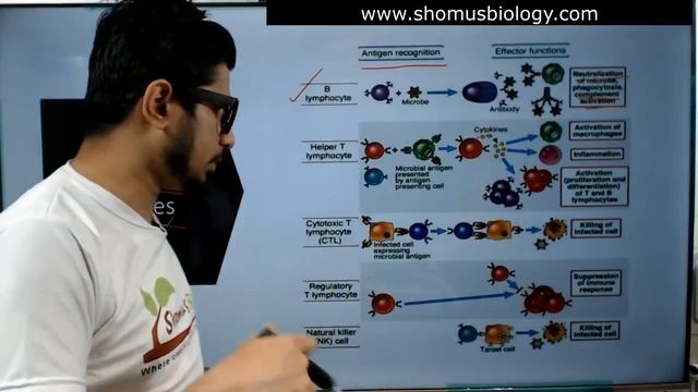 Cells of immune system in Hindi | Immunology lecture 1 смотреть онлайн
