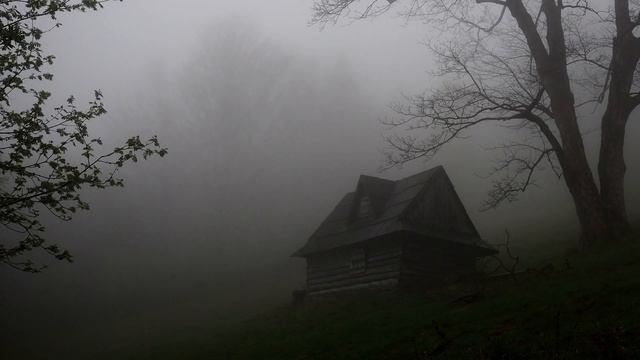 peace.. смотреть онлайн