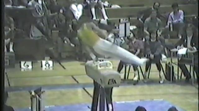 North Babylon Boys Gymnastics - 1986 New York State Championship Individuals смотреть онлайн