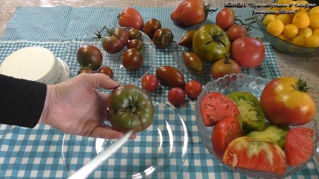 Очень вкусные томаты сравним между собой смотреть онлайн