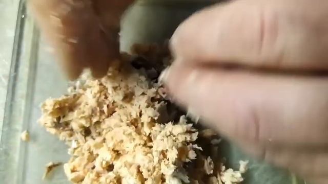 Современные Инструментальные Мелодии