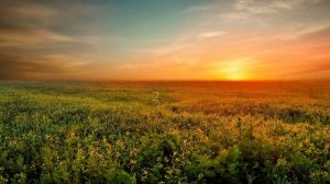 ПРОВЕРЬ СВОЙ СЛУХ. КОРОТКИЙ ТЕСТ НА ОСТРОТУ СЛУХА