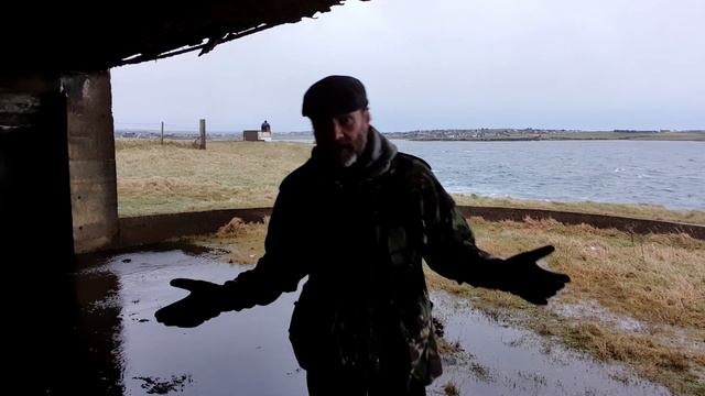 I'M STILL ALIVE! смотреть онлайн