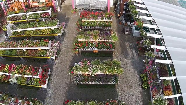 Natures Corner Greenhouse смотреть онлайн