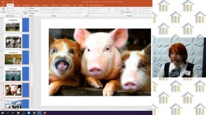 3 Класс. Окружающий мир. Аюбова А.А. Тема: "Животноводство".