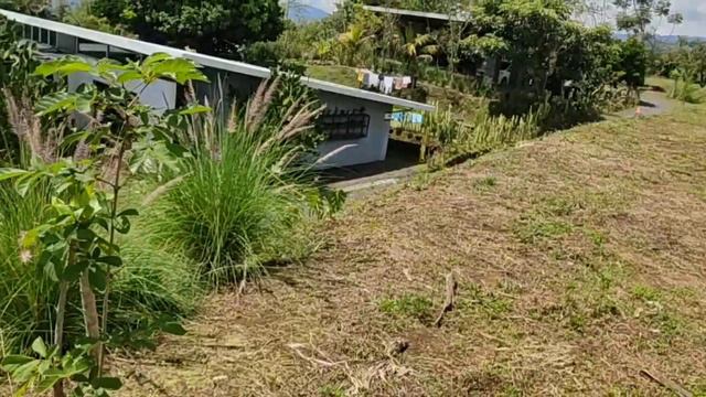 Se vende lote en San Isidro de Grecia, Alajuela #costaricaexclusiveproperties #costaricarealestate смотреть онлайн