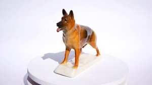 German shepherd Big Porcelain figurine dog on the stand realistic High-quality Statuette