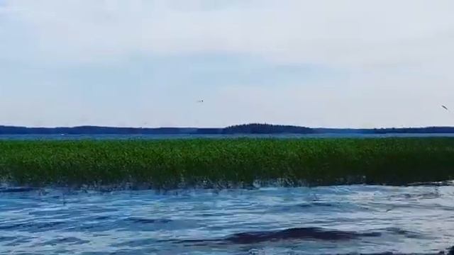 Taipalsaari, Lappeenranta, Suomi. (1) смотреть онлайн