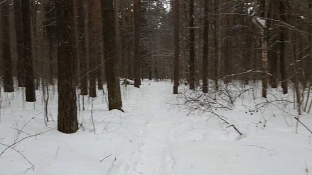 Черняевский парк, Пермь. смотреть онлайн