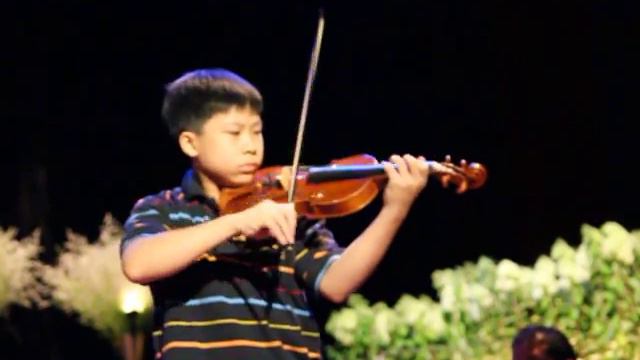 Sarasate, Introduction and Tarantella on my "OleBull" Guarneri del Gesu. смотреть онлайн