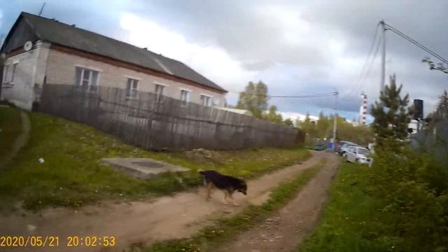 Цыпленок у которого две мамы или с детьми на даче. смотреть онлайн