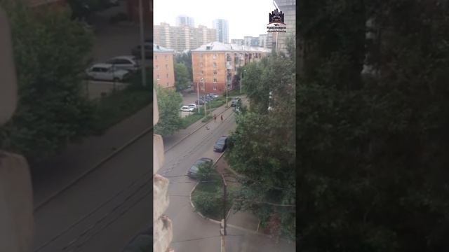 Ул. Коломенская 18.06.2016 смотреть онлайн