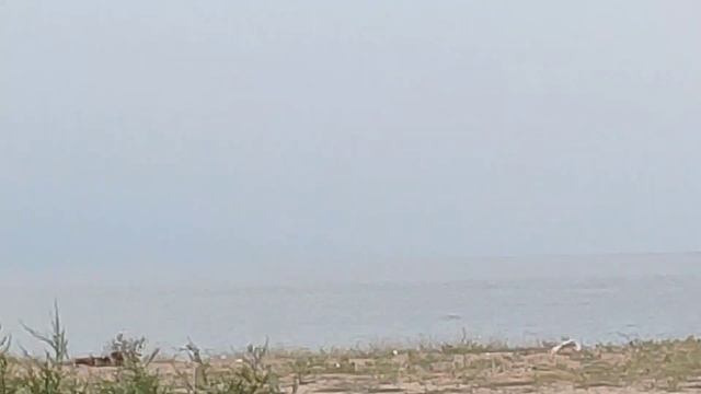 НЕОБЫЧНЫЙ ЦВЕТ ЧЕРНОГО МОРЯ!!! БЫЛО УТРО, БЫЛО НЕМНОГО ПАСМУРНО!!! ПОЛУЧИЛОСЬ БЕЛОЕ МОРЕ! смотреть онлайн